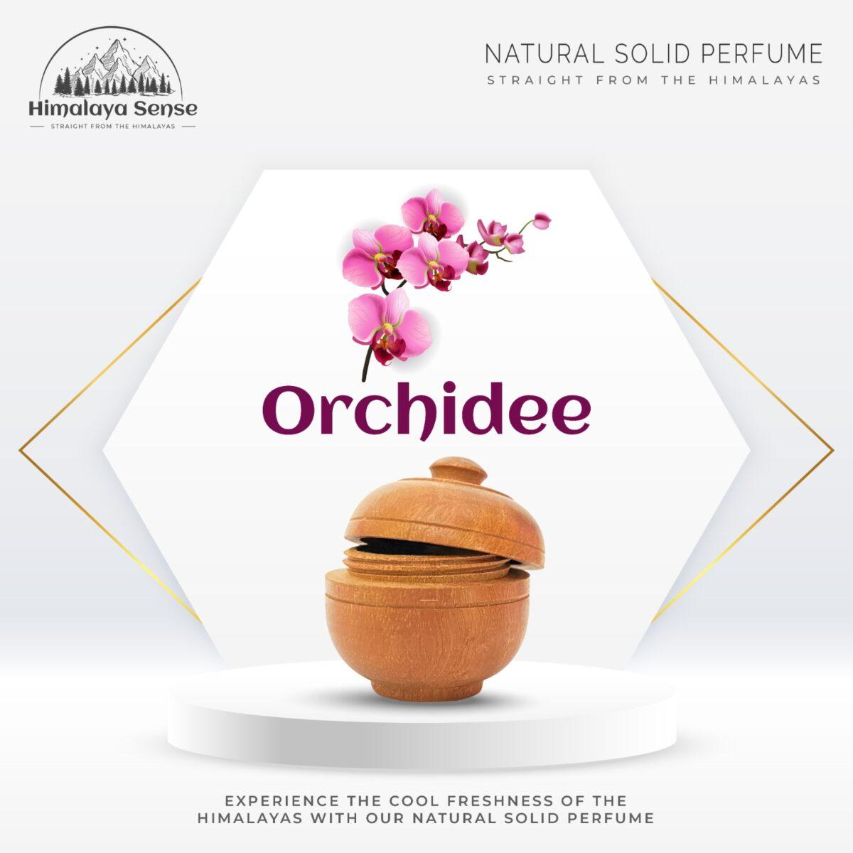 orchidee